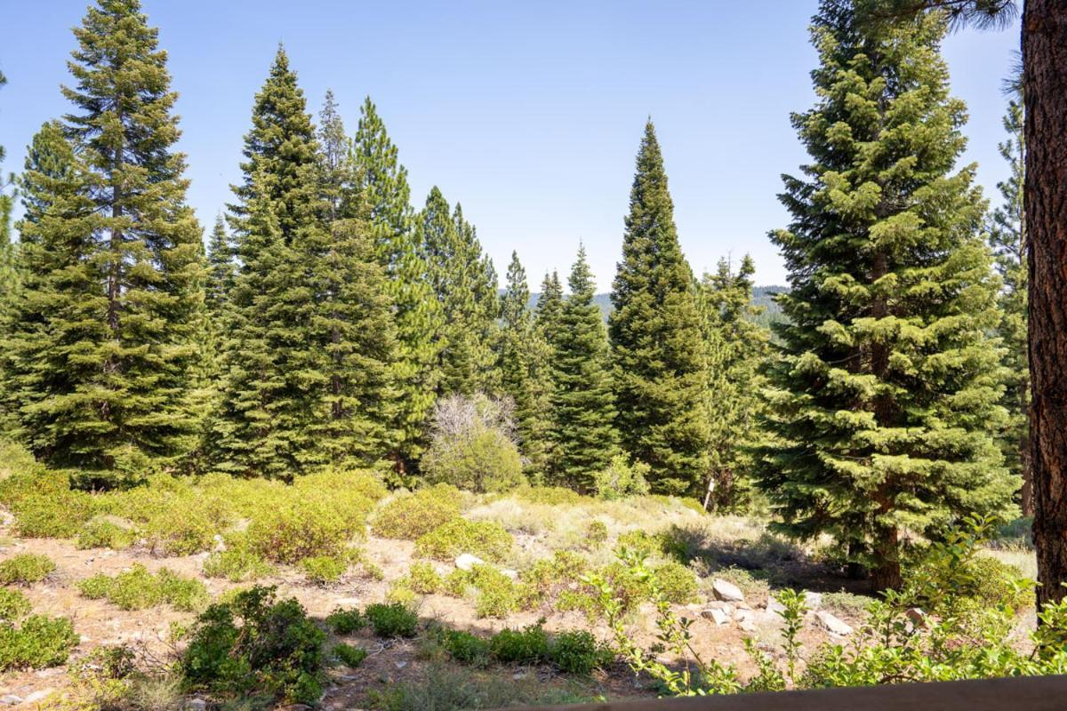 Northstar - Gold Bend Getaway Villa Truckee Dış mekan fotoğraf